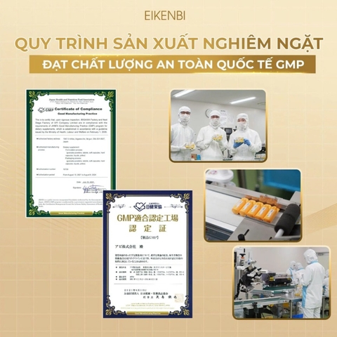 Tinh Chất Nghệ Nano Tảo Nâu Fucoidan Eikenbi [Hộp 15 ống x 10ml]