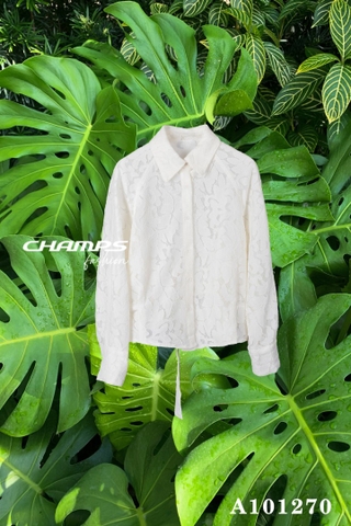 ÁO TRẮNG REN 101270