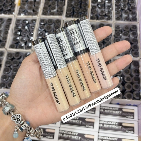 Che Khuyết Điểm The Saem 6.5g CT