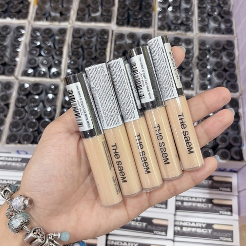 Che Khuyết Điểm The Saem 6.5g CT