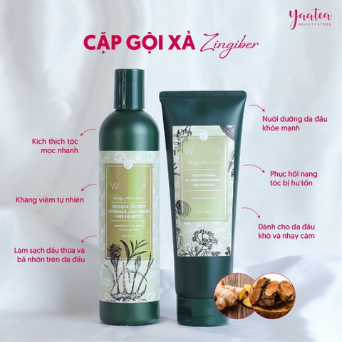 Cặp Gội Xả Weilaiya