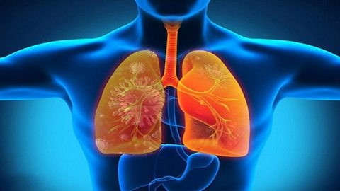CÁCH THẢI ĐỘC CHO PHỔI