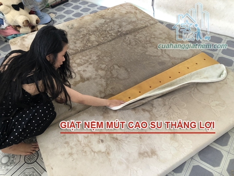 Giặt nệm mút cao su non thắng lợi có dây kéo