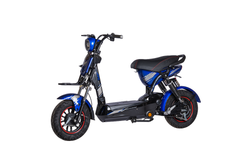 XE ĐẠP ĐIỆN S600I JVC VIP 2025