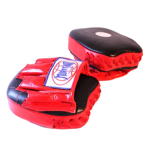ĐÍCH ĐẤM MINI FOCUS MITTS ( CONG )