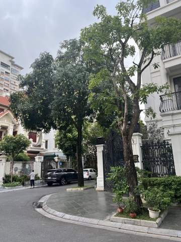 Cho thuê biệt thự tại Việt Hưng - Long Biên, diện tích 175m2, mặt tiền 10m2, 4 tầng. Liên hệ 0961910403