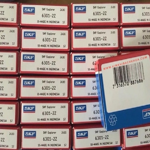 Vòng bi SKF 6301-2Z