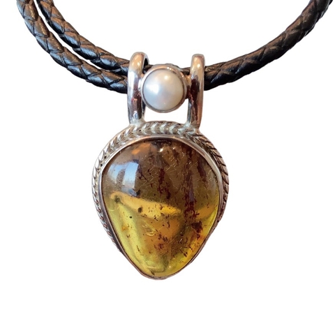 Amber - Hổ Phách