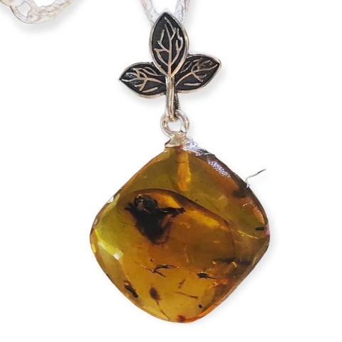 Amber - Hổ Phách Myanmar