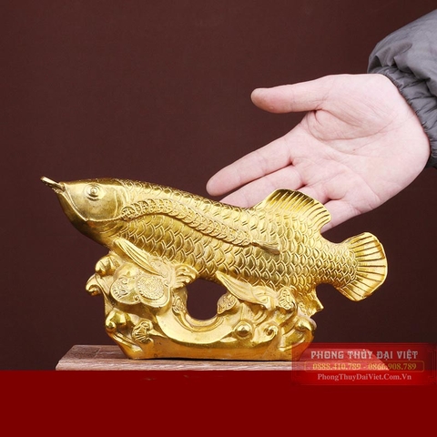 Cá kim long đồng vàng 14x27cm - 1.3kg