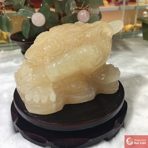 Thiềm thừ ngọc hoàng long