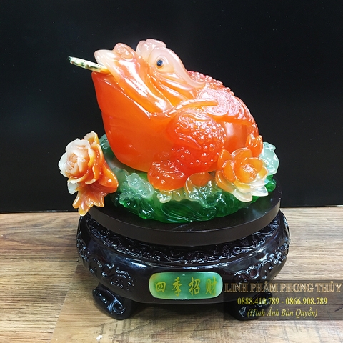 Thiềm thừ đỏ bột đá cao cấp