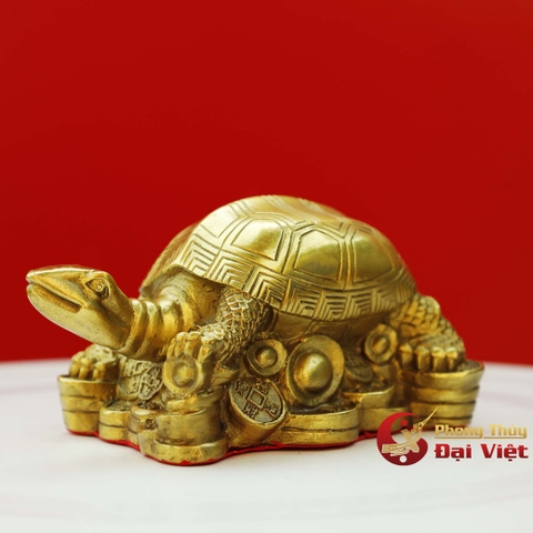 Kim quy Đồng Nguyên Chất- Rùa đồng cưỡi Tiền