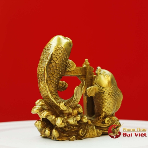 Cá chép vượt long môn trung đồng nguyên chất - 11.5x12.5x550g – SP000683