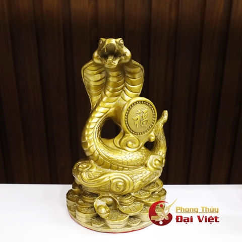 Rắn Phúc Đồng 22.5x13cm - 1.35kg