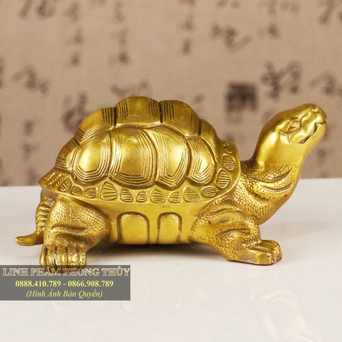 Tượng kim quy đồng mai hoa đồng nguyên chất cỡ tiểu
