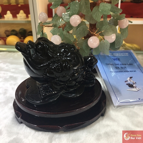 Thiềm thừ tiêu ngọc đen