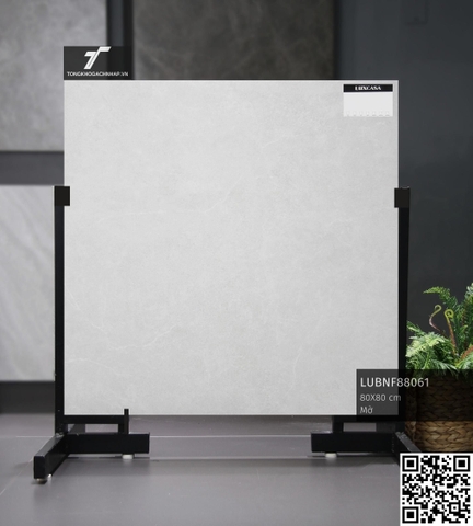 Gạch men matt 80LU88061