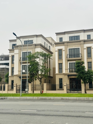 Cho thuê Shophouse Cổ Loa làm Showroom – Không gian trưng bày đẳng cấp