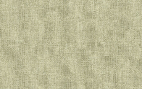 Giấy dán tường Base 38014