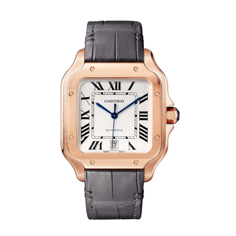 Đồng hồ Cartier Santos De Cartier 39.8mm CRWGSA0019