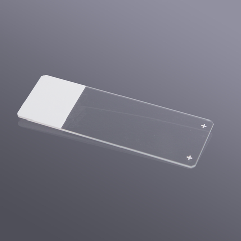 Lam kính mài mờ một đầu (Microscope Slide), hãng Biosharp