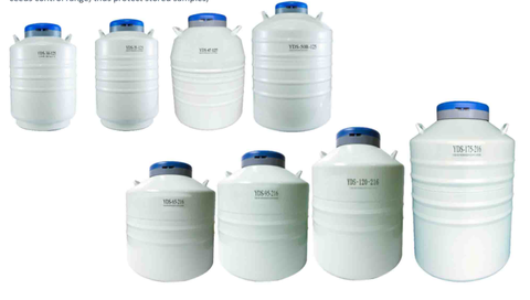 Bình chứa nitơ lỏng YDS – Dung tích lớn (Liquid Nitrogen Container), hãng Fcombio