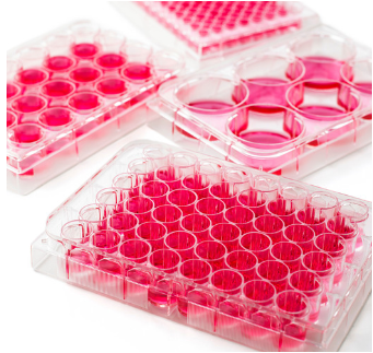 Đĩa nuôi cấy tế bào (Cell Culture Plates), hãng LabSelect-China