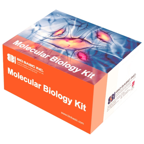 Immunoprecipitation Kit: Protein A-Sepharose