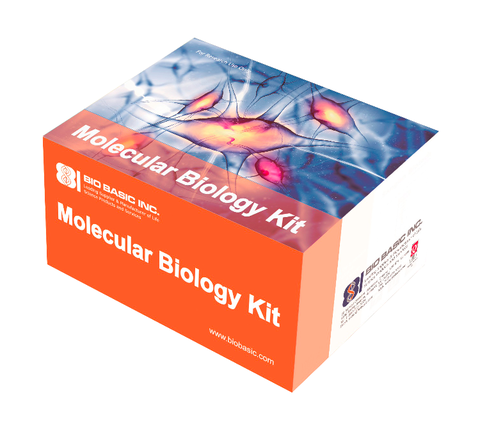 One-Tube Swab DNA Extraction Kit