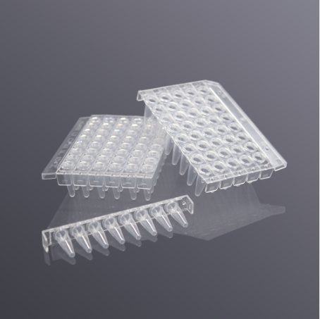 Đĩa PCR 96 giếng 0.2mL, ống trong suốt (96-well PCR microplate), hãng LabSelect-China