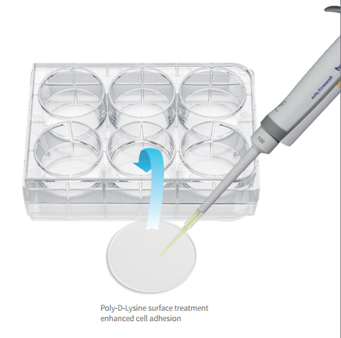 Phiến tế bào, phủ poly-lysine, dành cho đĩa nuôi cấy (Cell slides), hãng LabSelect