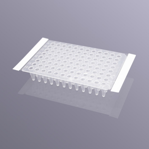 Màng Film PCR, chất liệu PP (Sealing Film) hãng Labselect