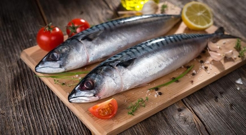 🌊 Cá thu( cá saba) — “siêu thực phẩm” không kém cá hồi, hỗ trợ phục hồi cơ bắp tuổi 50