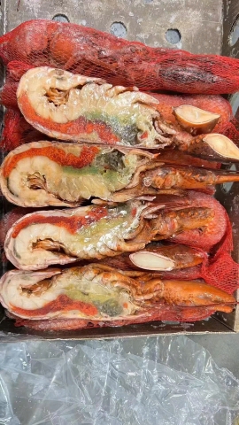 Tôm Hùm Úc Nửa Con Đông Lạnh