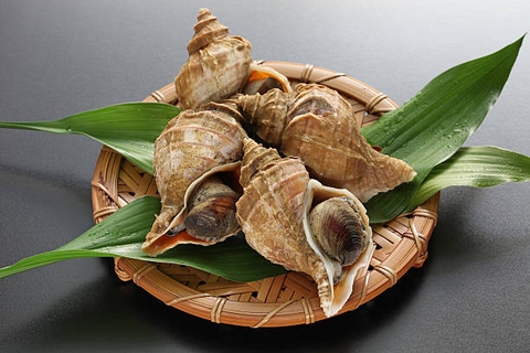 Ốc xoắn Nhật Bản  (Frozen Whelk)