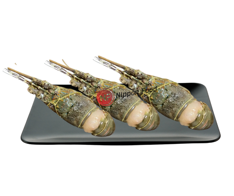 Tôm Hùm Đông Lạnh