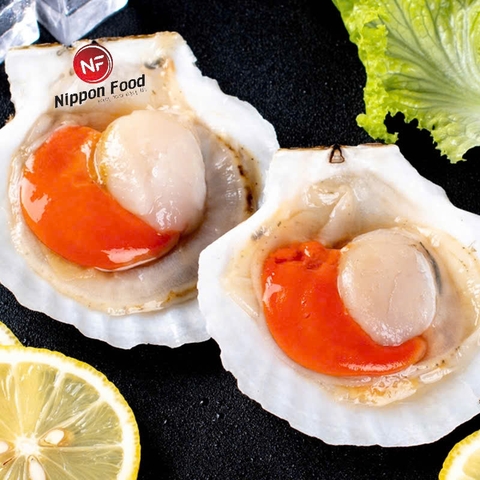 Sò Điệp nửa mảnh