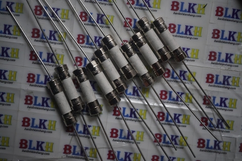 10 Cầu chì sứ cắm 30A 5x20mm