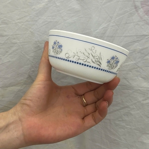 Chén cơm thủy tinh tròn Toledo Exotique 11 cm