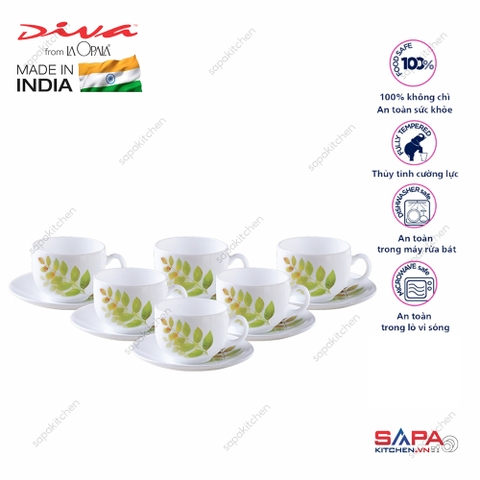 Bộ tách đĩa trà thủy tinh 12 món 16CL Autumn Shadow