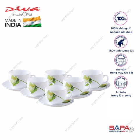 Bộ tách đĩa trà thủy tinh 12 món 16CL Ivory Blush