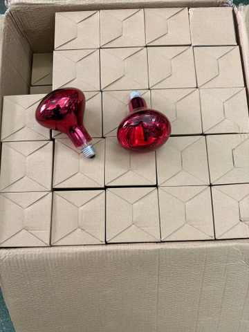 Bóng đèn hồng ngoại