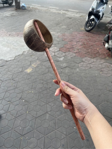 gáo dừa gội đầu