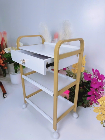 Xe thẩm mỹ khung sắt Luxury