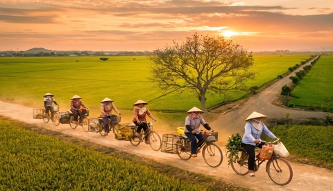 21 DAY HANOI - HO CHI MINH & MEKONG DELTA CYCLING TOURS