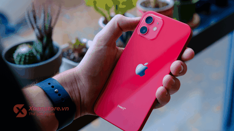 iPhone 12 512GB Cũ