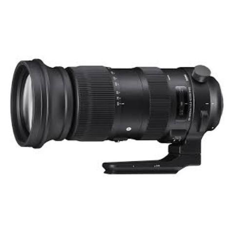 Ống kính SIGMA 60-600mm F4.5-6.3 DG DN OS Sports For Sony E