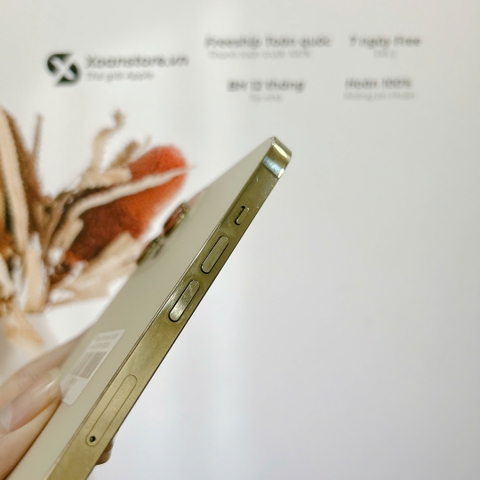 iPhone 12 Pro Max 128GB  Blue -LLA- 99K, P78 - BH 12 tháng