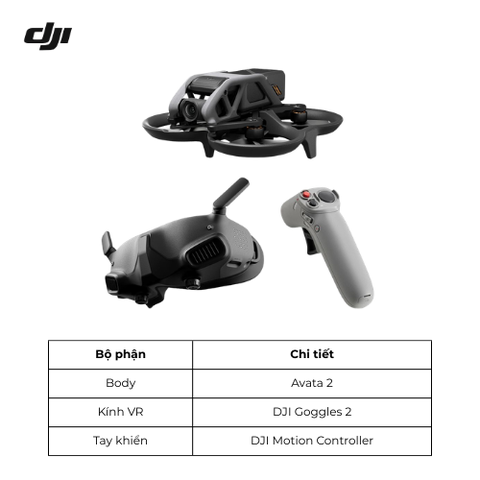 Flycam DJI Avata 2